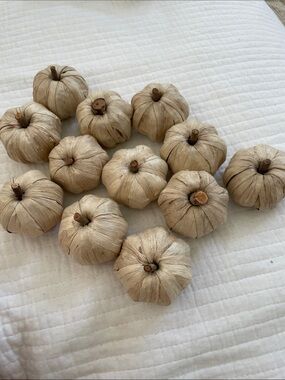 Studio McGee Natural Cream Faux Pumpkins - Set of 12